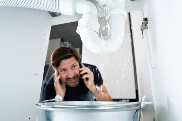 Best Drain Cleaning Services  in Jasper, IN