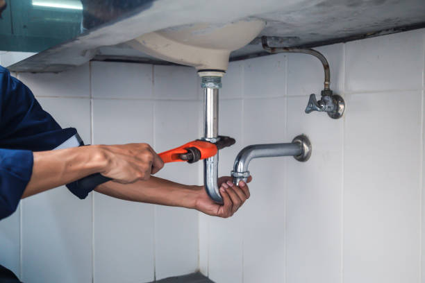 Best Commercial Plumbing Services  in Jasper, IN